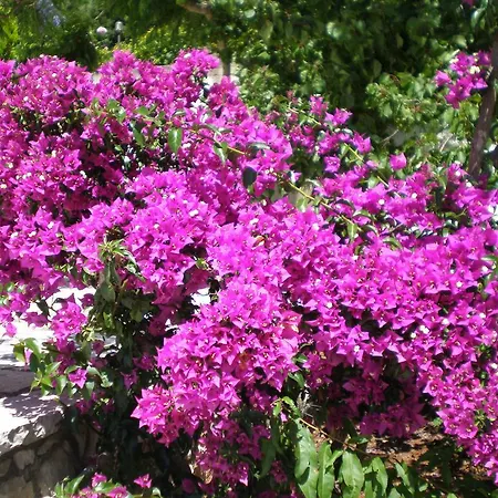 Panoramic Sunset Apartment Kothreas