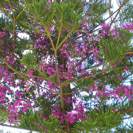 דירה Panoramic Sunset