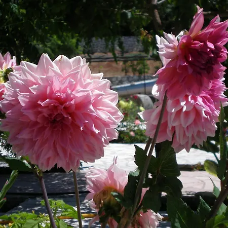 דירה Panoramic Sunset *