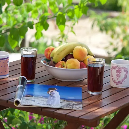 Lejlighed Panoramic Sunset